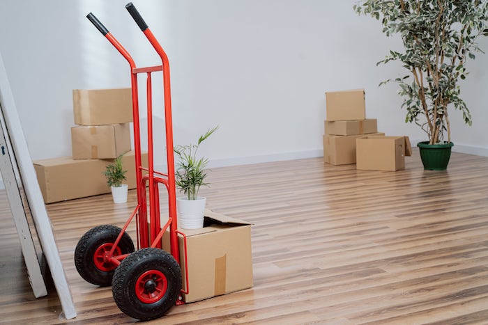 removalist in adelaide